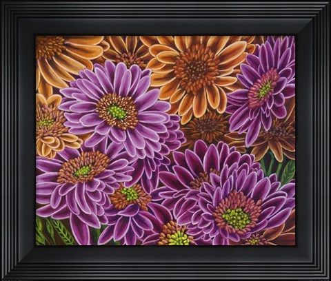 Framed Gerbera Mostly Magenta Print