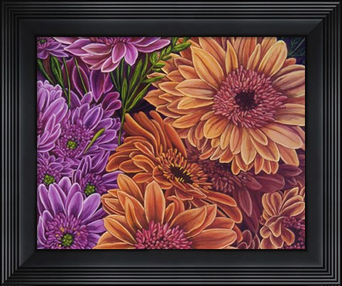 Framed Gerbera Mostly Salmon Print