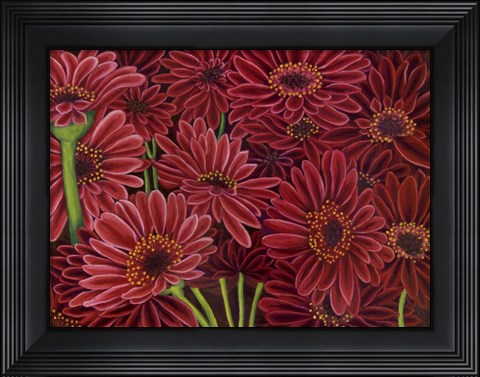 Framed Gerbera Ruby Print