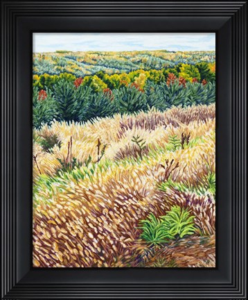 Framed NY Autumn Grasses Littletree Print