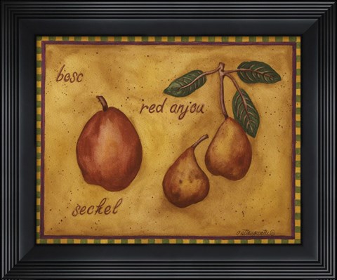 Framed Pears Bosc Red Anjou Seckel Print