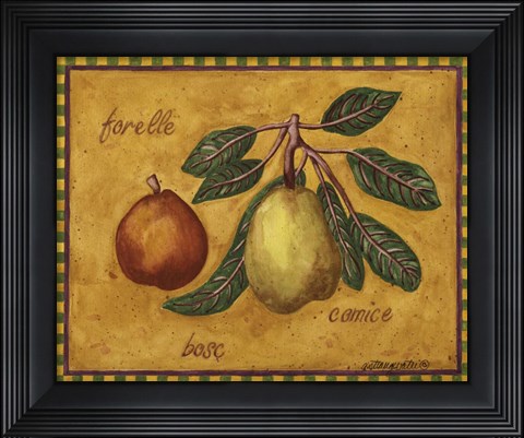 Framed Pears Forelle Bosc Comice Print