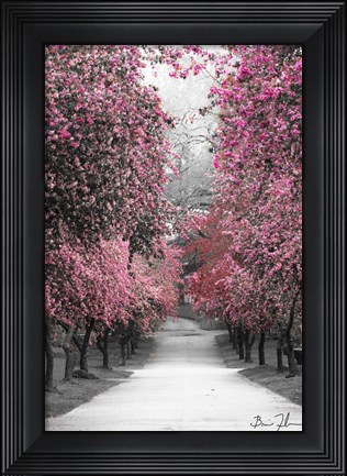 Framed Cotton Candy Walk Print