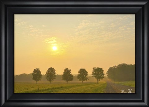 Framed Country Morning Glow Print
