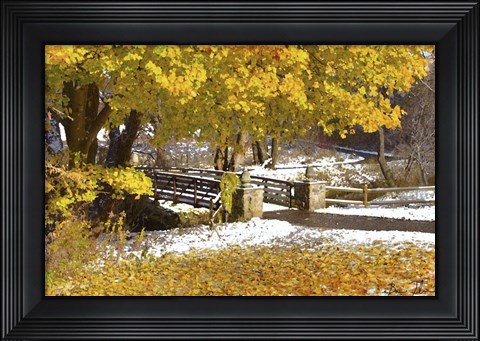 Framed Autumn Snow Print