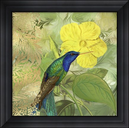Framed Hummingbird Green Blue Print