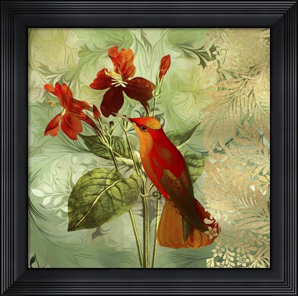 Framed Hummingbird Red Print