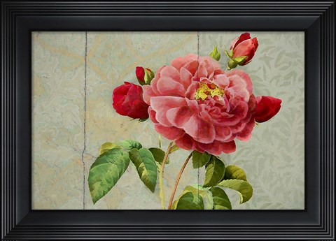 Framed Pink Rose Painted on Wooden Panel Print