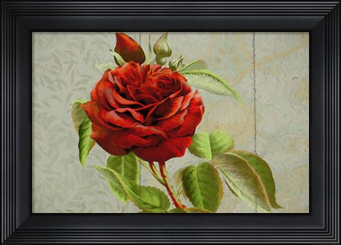 Framed Red Rose Painted on Wooden Panel Print