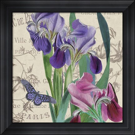 Framed Vintage Flowers III Print