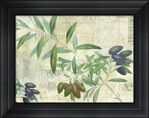 Framed Olives Picholines Print