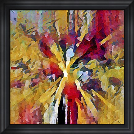 Framed Dragonfly Print