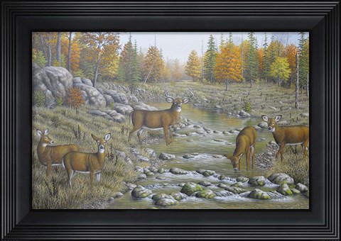 Framed Autumn Whitetails Print