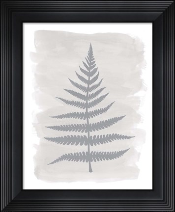 Framed Fern1 F Print