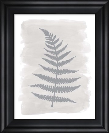Framed Fern2 F Print