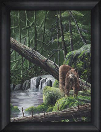 Framed Deep Woods Fisherman Print