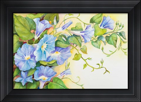 Framed Trailing Vine Morning-Glories Print