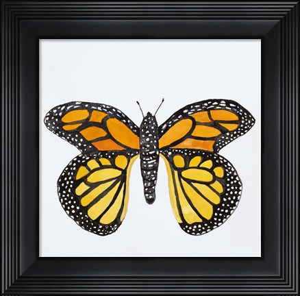 Framed Butterfly Collection Monarch Print