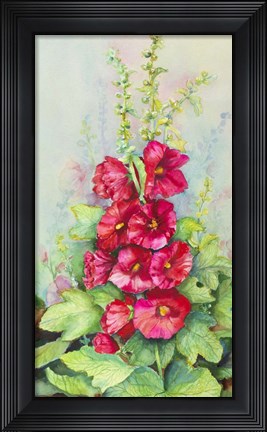 Framed Early Morning Hollyhock Print