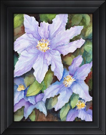 Framed Lavender Cosmos Print