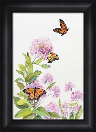 Framed Milkweed and Monarch Butterflies Print