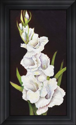 Framed Stem of Gladiolus Print