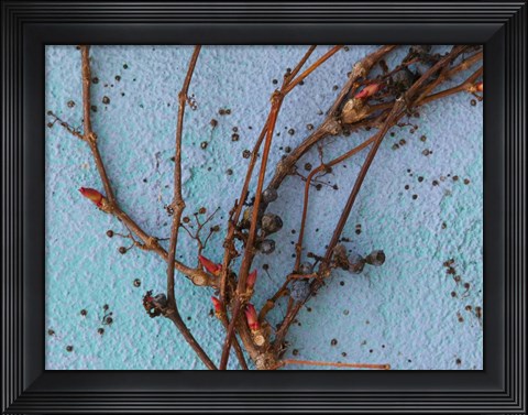 Framed Twig Print