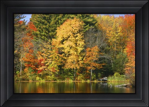 Framed Fall 20 Print