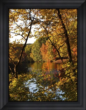 Framed Fall 21 Print