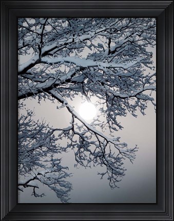Framed Winter 1 Print