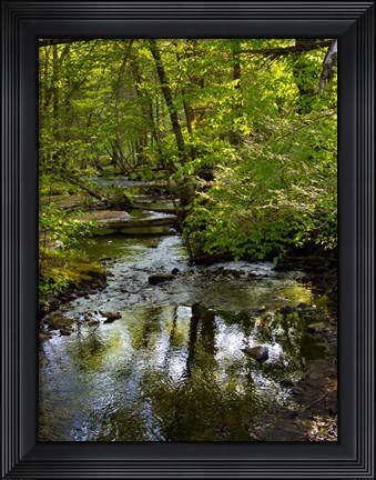 Framed Landscape 38 Print