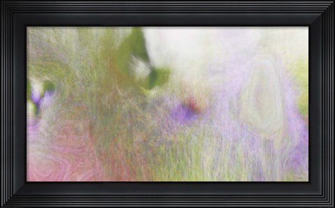 Framed Buttonbush Print