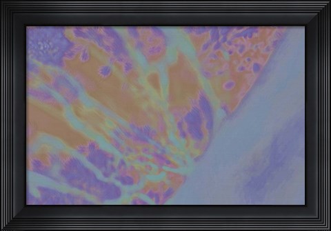 Framed Evening Soak Print