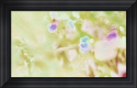 Framed Spade Print