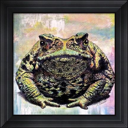 Framed Toad Color Print