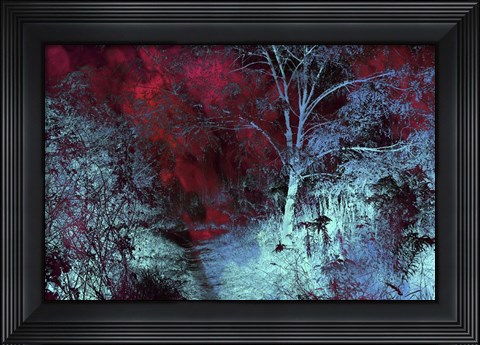 Framed Moonlight Forest Print