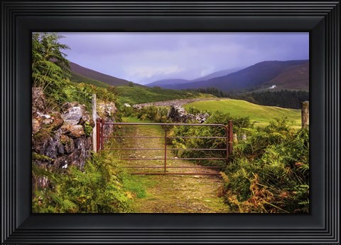 Framed Gates on the Road at Wicklow Hills Ireland Print