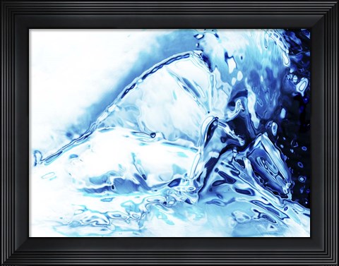Framed Swan Print
