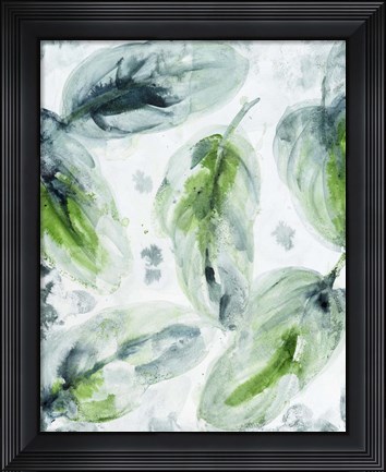 Framed leaf scatter 1 Print