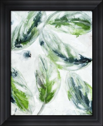 Framed leaf scatter 2 Print