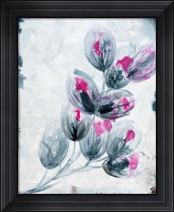 Framed Fuschia Splash1 Print