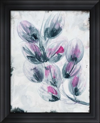 Framed Fuschia Splash 2 Print