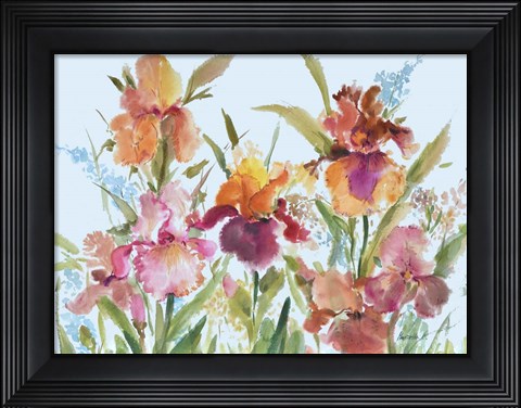 Framed Loose Irises Print