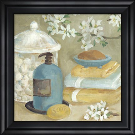 Framed Bathroom Accessories II Print