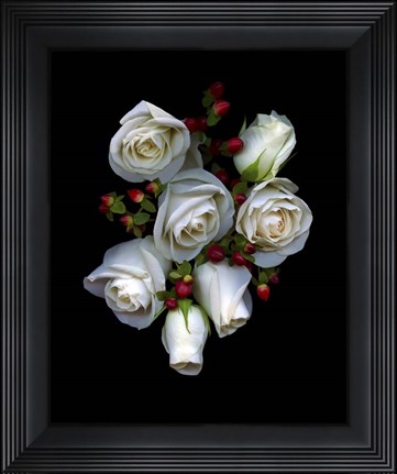 Framed White Roses Red Berries Print