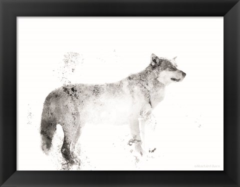 Framed Wolf Print