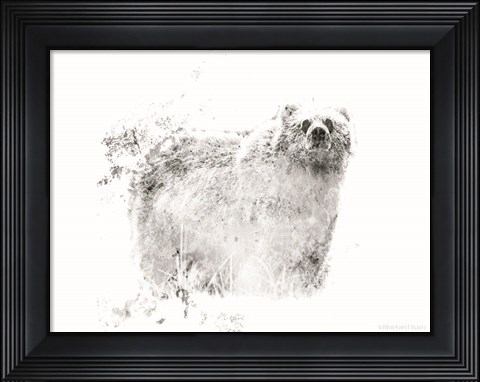 Framed Bear Print