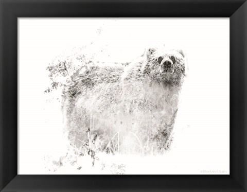 Framed Bear Print