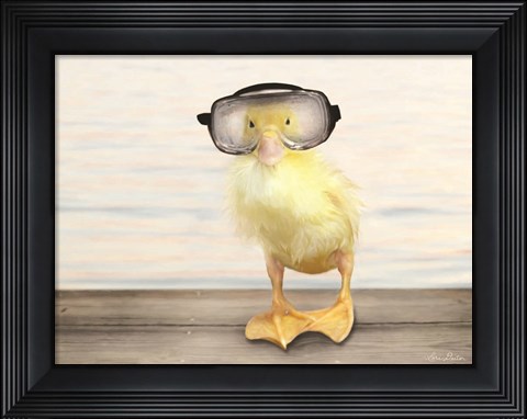 Framed Diving Duck Print