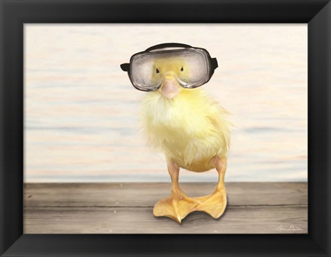 Framed Diving Duck Print